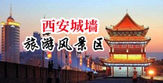 一个男的用鸡巴操一个女的骚逼中国陕西-西安城墙旅游风景区