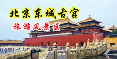 巨吊操辣妹肥穴中国北京-东城古宫旅游风景区